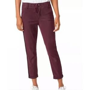 PAIGE Women's Pant Christy Utility Pull On Black Cherry Tuxedo Stripe Size 27